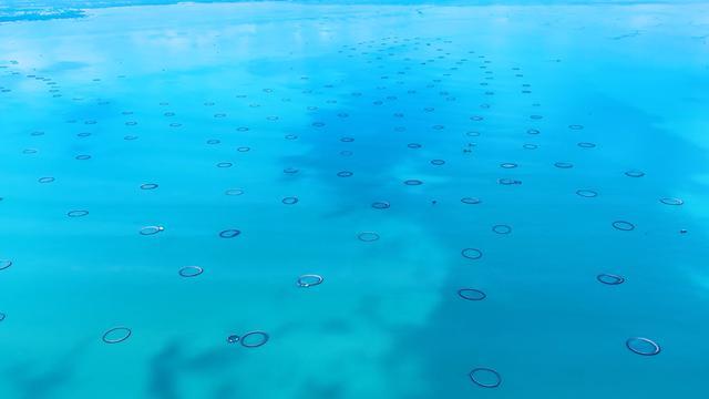 深远海上的养殖网箱像是“甜甜圈”。受访者供图