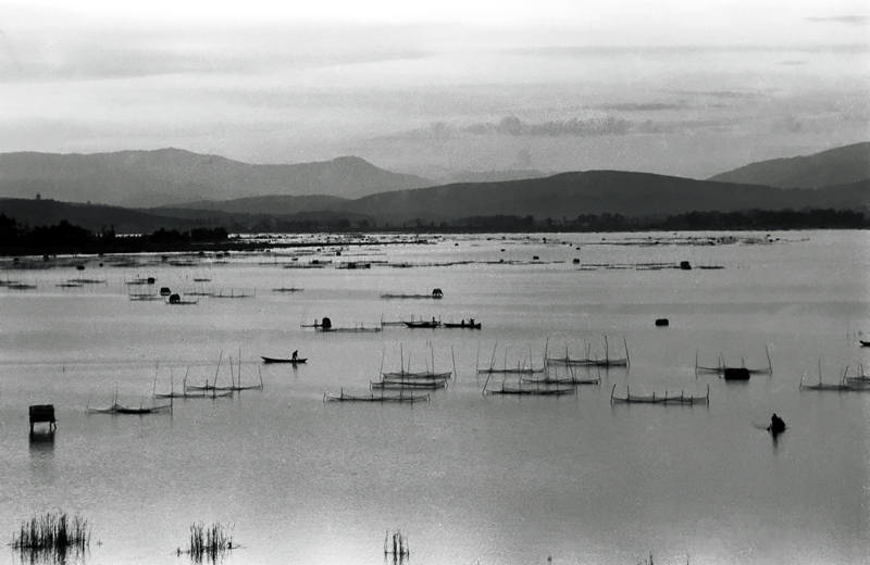 新春走基层|山朝水朝,不如人来朝——异龙湖畔感受高原湖泊治污成果