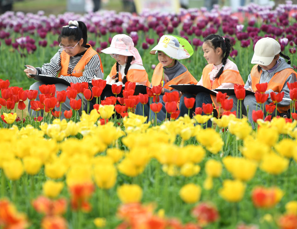 4月1日，在安徽巢湖经济开发区半汤郁金香高地，小朋友参加春假写生活动。新华社发（马丰成摄）