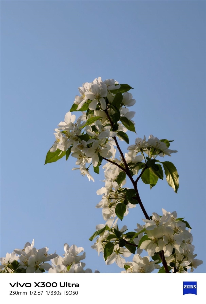 14-400mm终极全焦段!vivo X300 Ultra手机全面评测:依然是年度影像机皇