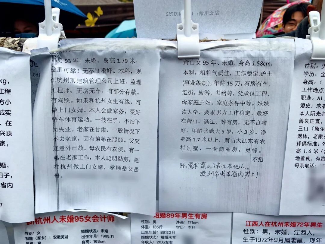 万松书院相亲角的寻缘启事展现出对赘婿的不同态度/祖晓谦 摄