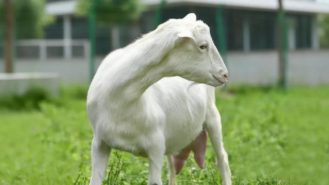 人民日报健康客户端资料图