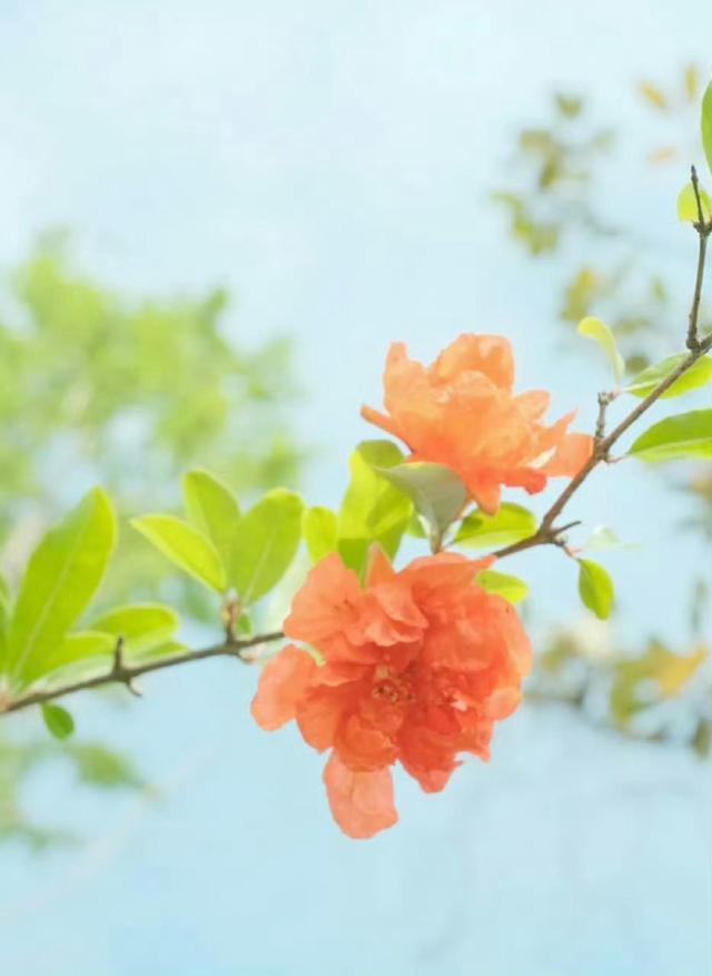 图片源自网络