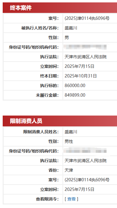 (图/中国执行信息公开网截图)