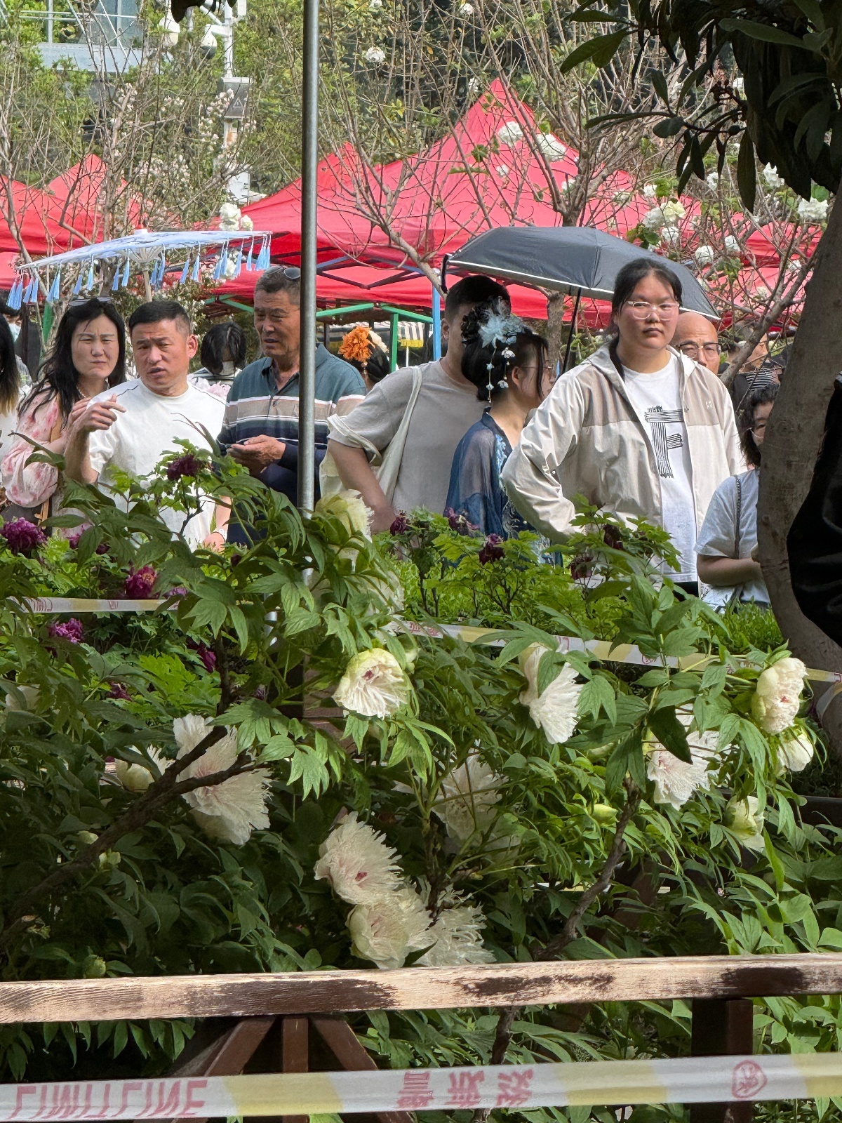 微信图片_20260412004620_115_32