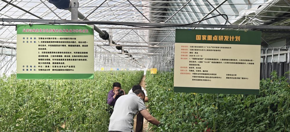中外专家在甘肃酒泉市考察生态农业示范项目。新华社记者余俊杰 摄