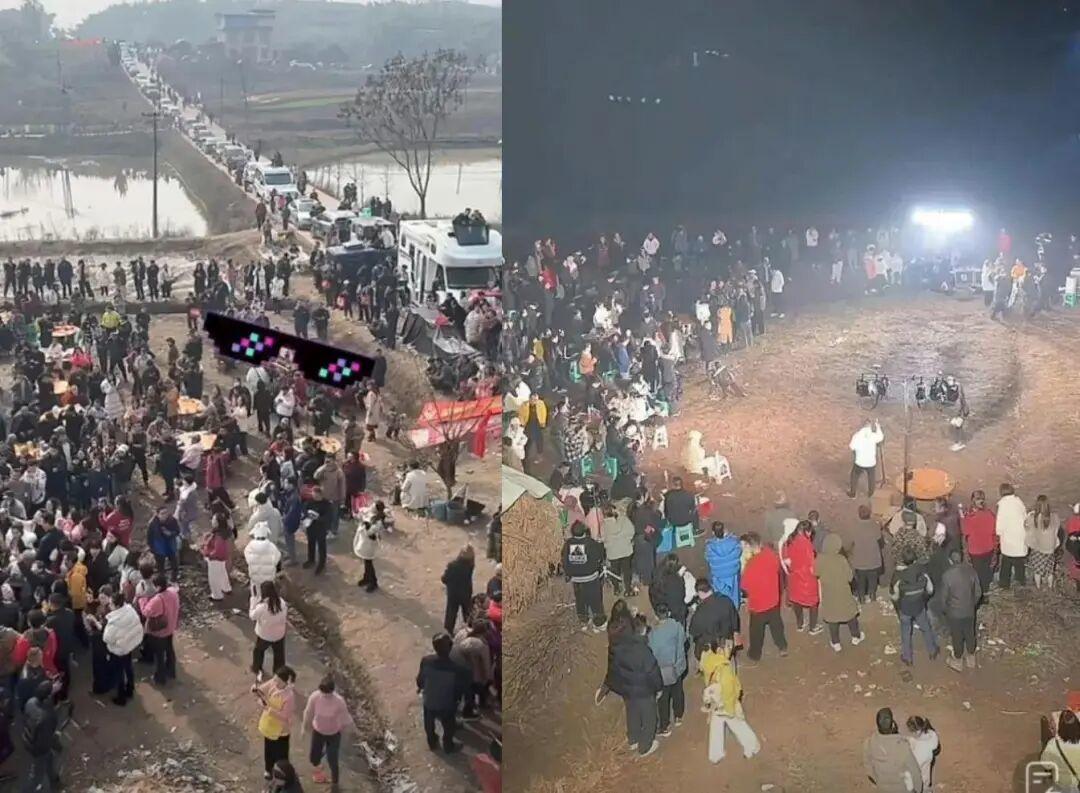 1月11日的视频直播截图