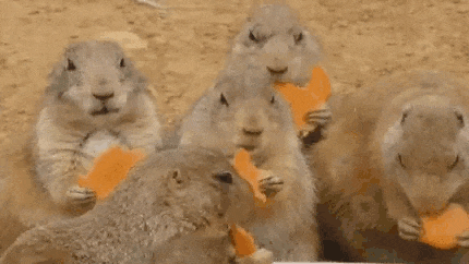 2024914212842 (1).gif