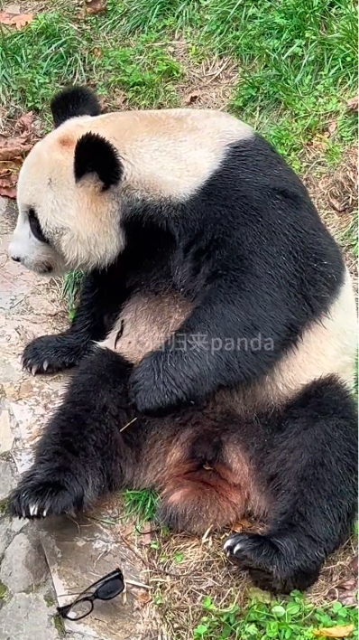 粘贴图片