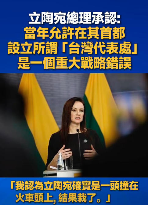 鲁吉尼埃内承认允许民进党当局在立陶宛设立所谓“代表处”是一项战略错误。(图片取自网络)