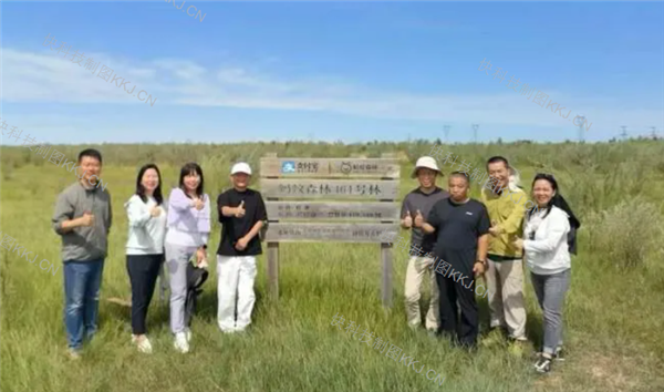 马云关注甘肃荒漠一线:实地探访西北荒漠化改造工程