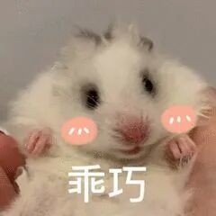 64图6550 (14).jpg