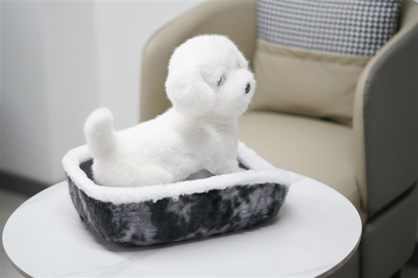 会撒娇能成长!科沃斯毛团陪伴机器人图赏