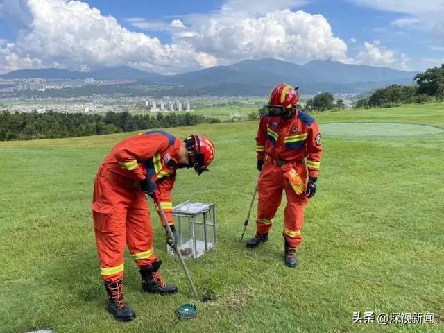 消防救援人员正处置“烙铁头”毒蛇。