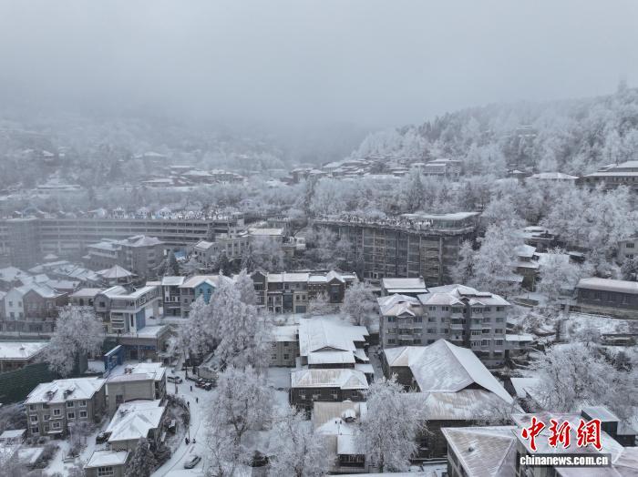 1月20日,江西庐山牯岭镇别墅群覆上白雪,雨凇雾凇挂满枝头。胡晓山 摄