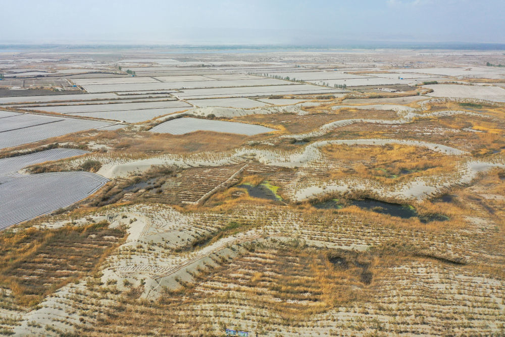 这是新疆阿克苏地区阿瓦提县艾西曼区域生态修复及荒漠化治理工程区一角（4月14日摄，无人机照片）。　 新华社记者 丁磊 摄