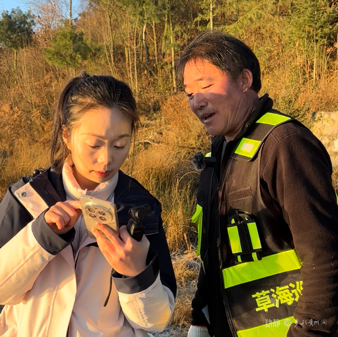 新春走基层丨2800多只黑颈鹤的“中国驿站”