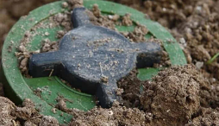 资料图,图源:波兰媒体