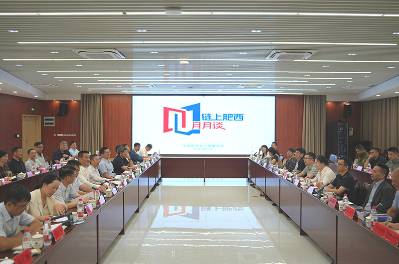 “链”上肥西·月月谈生物医药和大健康专场。肥西发布供图