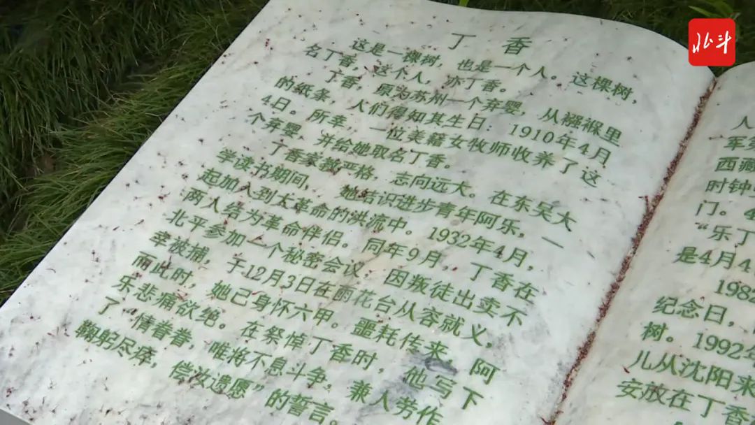 三城同念 “丁香”花开