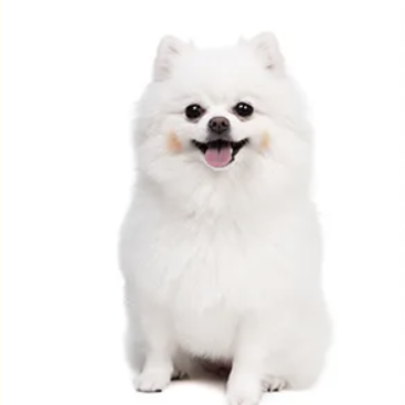 截屏2026-03-09 17.21.40.png