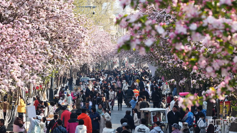 天津市和平区大理道游人如织（央广网记者 周思杨 摄）