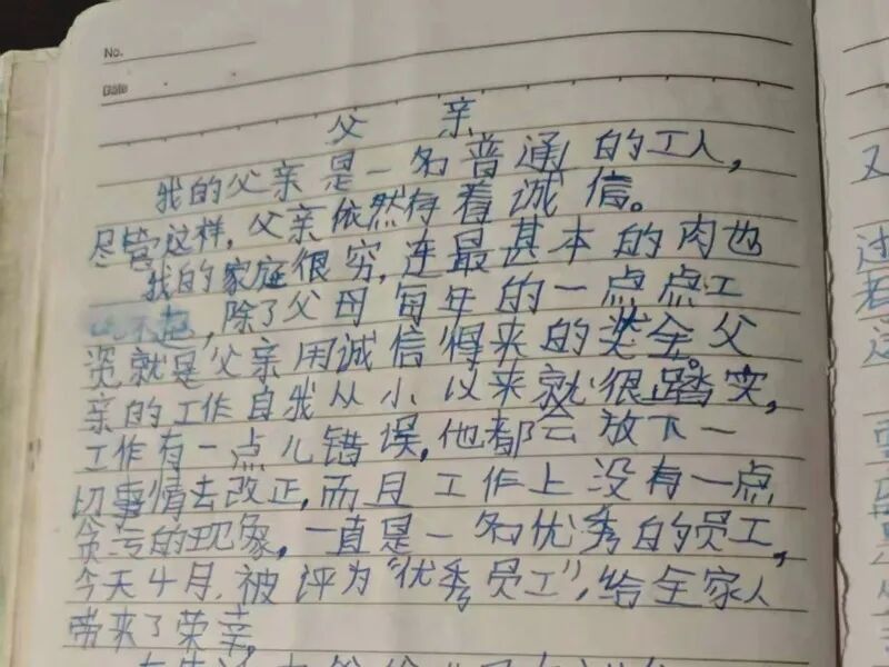 谈磊小时候的日记