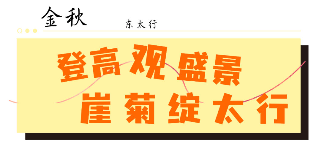 2b3e1df7294e1ad84131a66b09649fcd.png