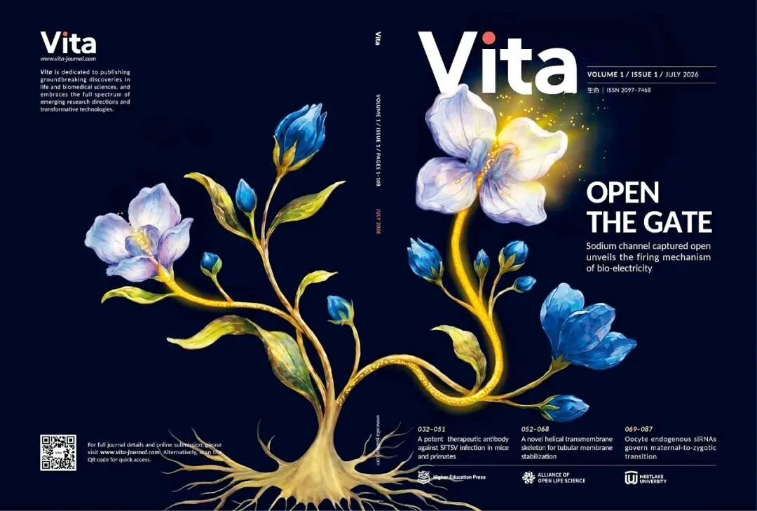 Vita首期纸质版封面