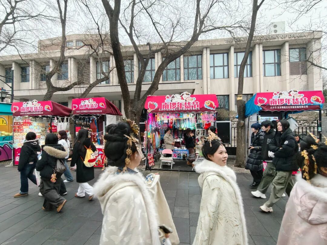 游客正在逛“南锣年货节”市集。记者 王慧雯 摄 (5).jpg