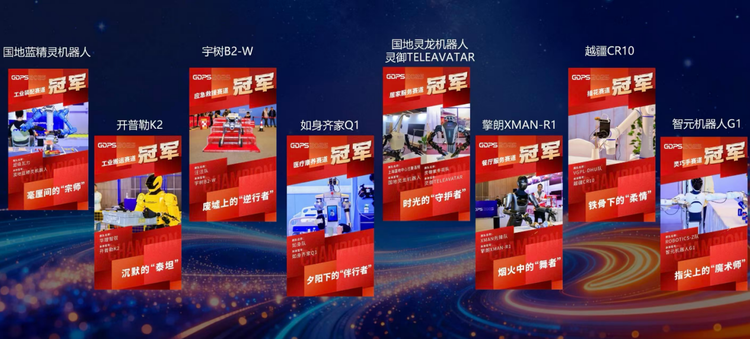 2025全球开发者先锋大会暨国际具身智能技能大赛赛项冠军