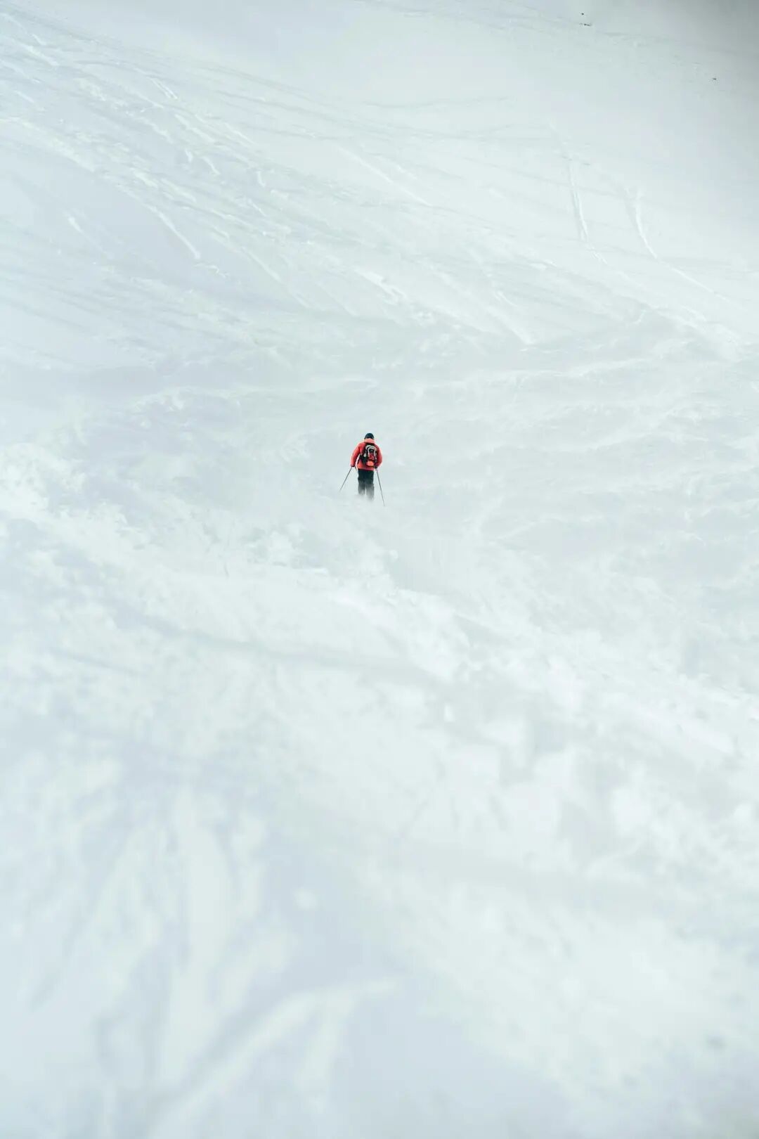 Photo by Imadclicks from Pexels