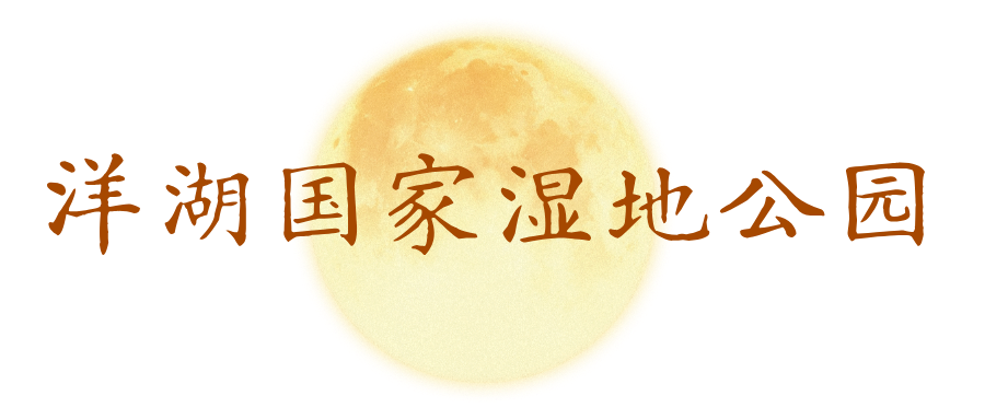 默认标题__2026-09-20+15_48_19.png