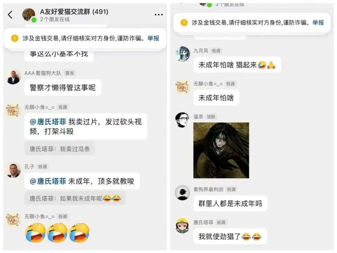 许多虐猫者或虐猫群组成员都是未成年人