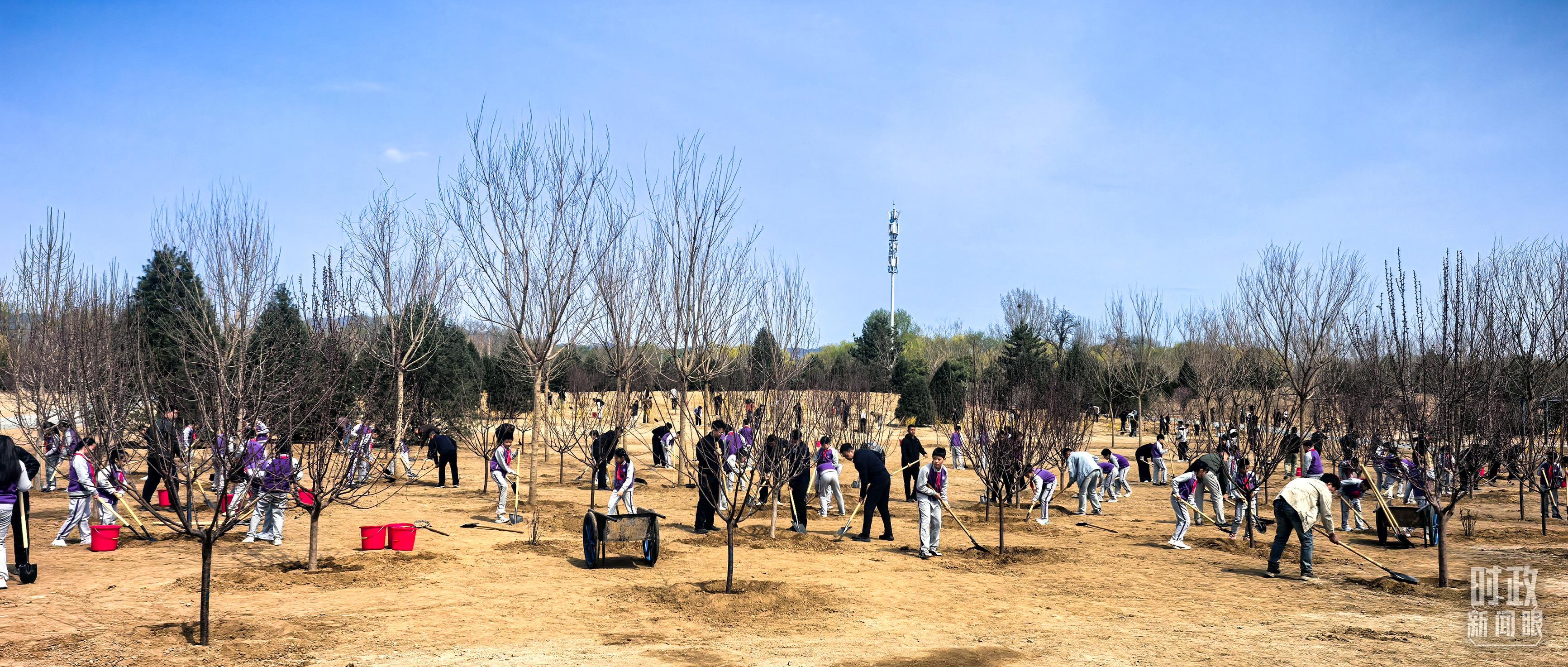 △昌平区百善镇植树点。（总台央视记者范凯拍摄）