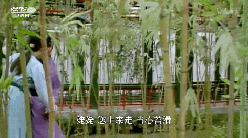 贾母初次带刘姥姥走进潇湘馆时，刘姥姥滑了一跤