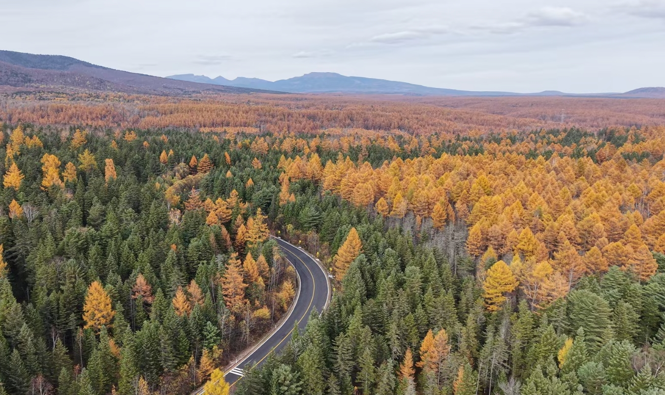 “东北沿边最美公路”G331吉林段(央广网记者 张学龙 摄)
