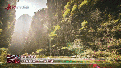 6.gif