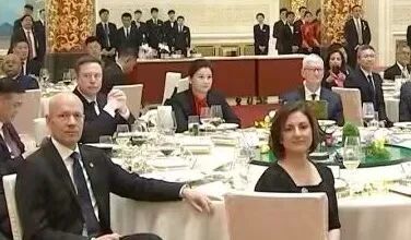 坐到马斯克和库克中间的湖南女人