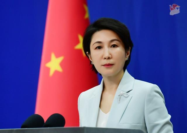 发言东说念主毛宁