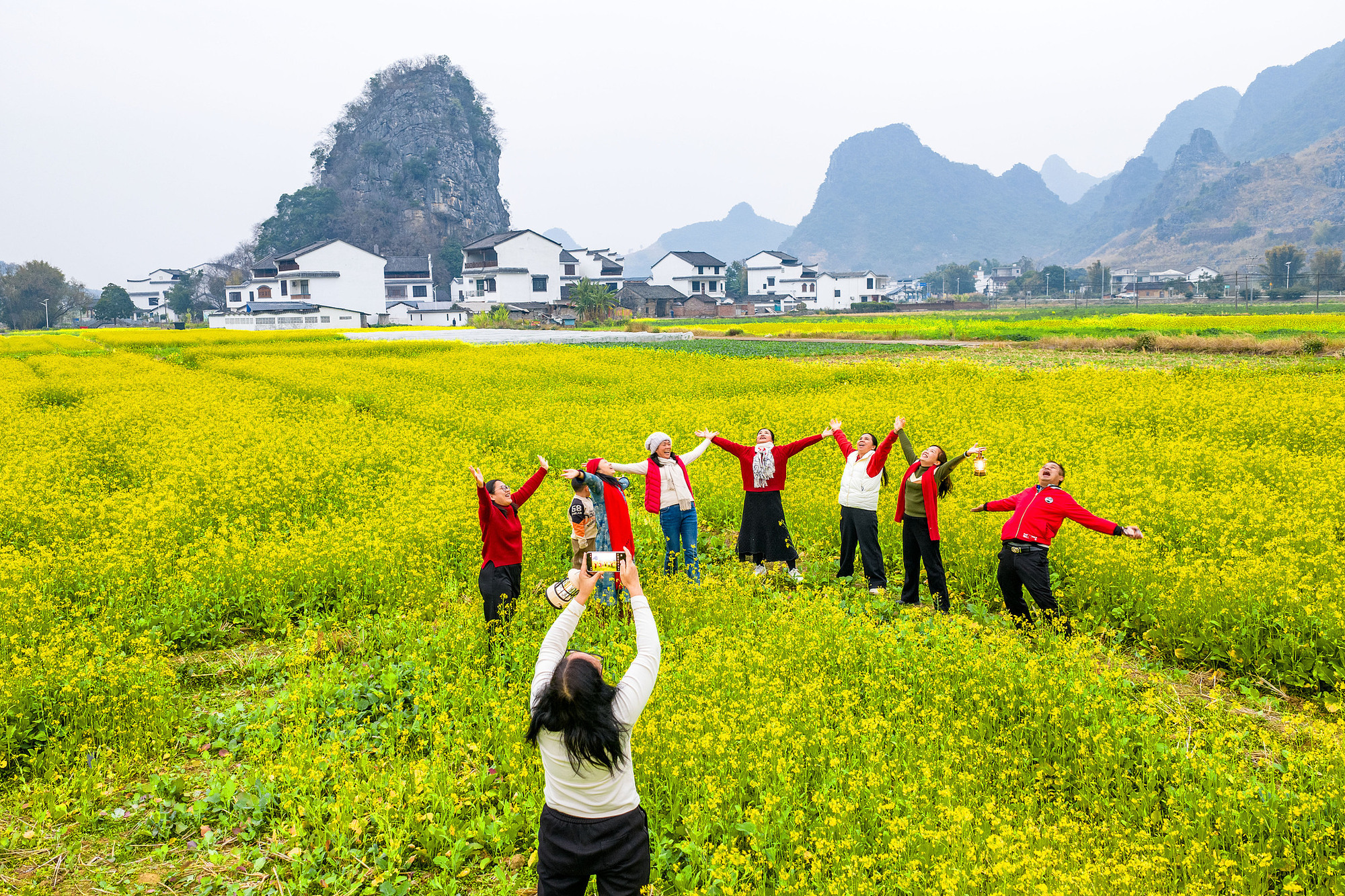 广西鹿寨：冬闲田绽放“致富花”