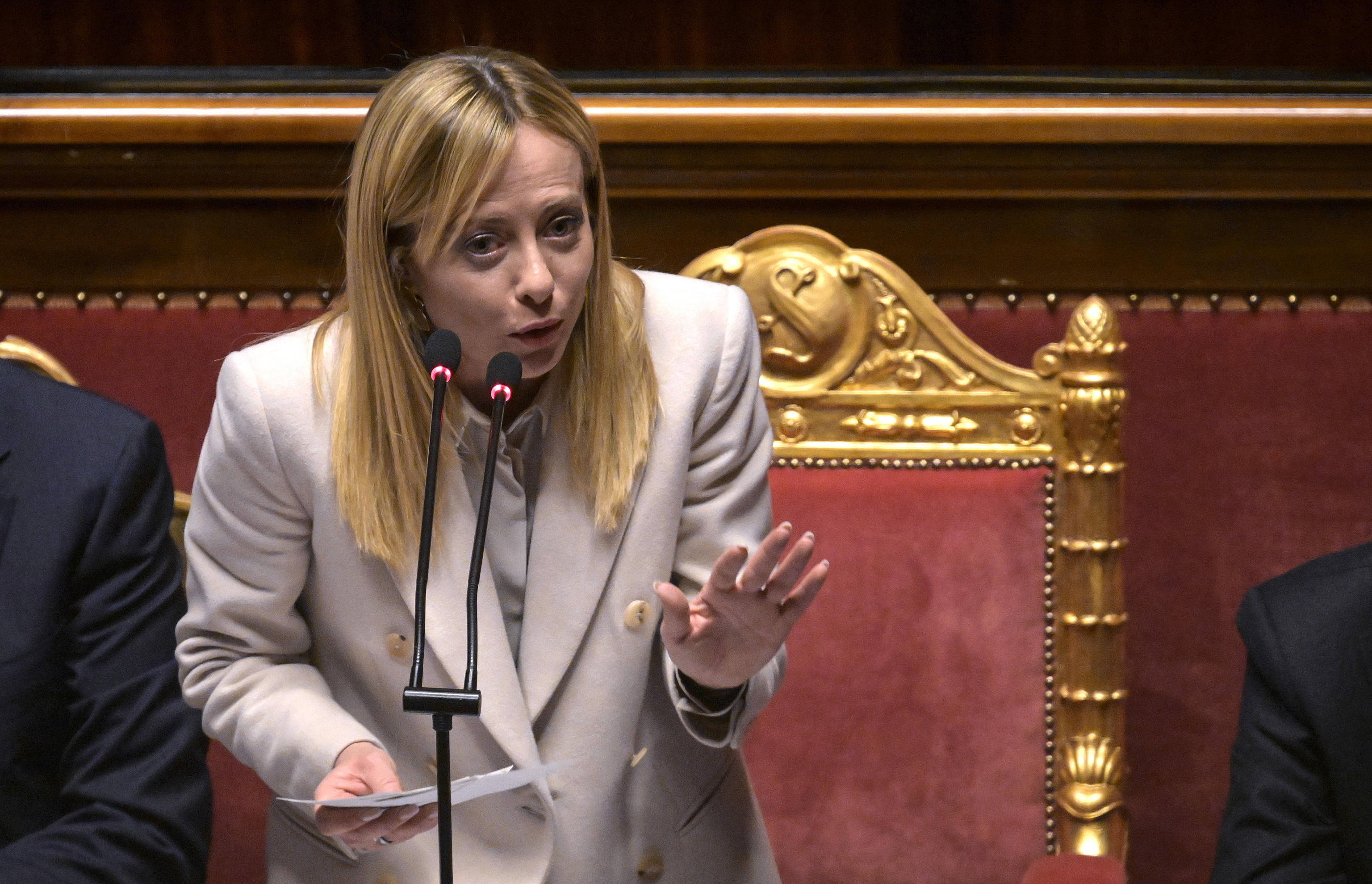 梅洛尼 资料图 图源：IC photo