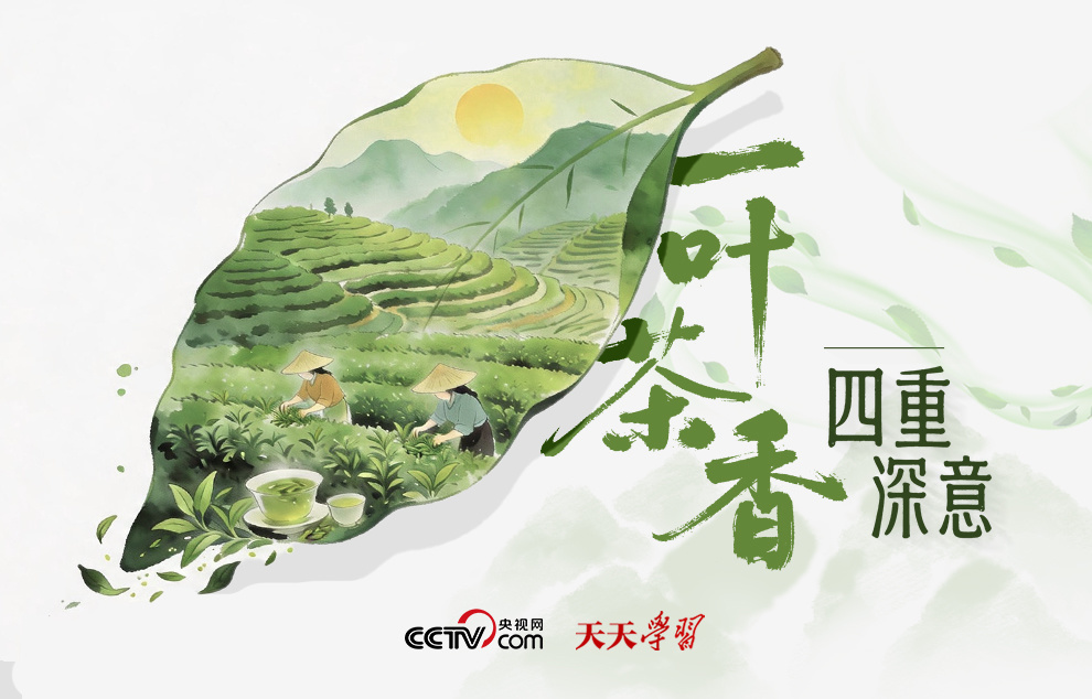 天天学习｜一叶茶香 四重深意