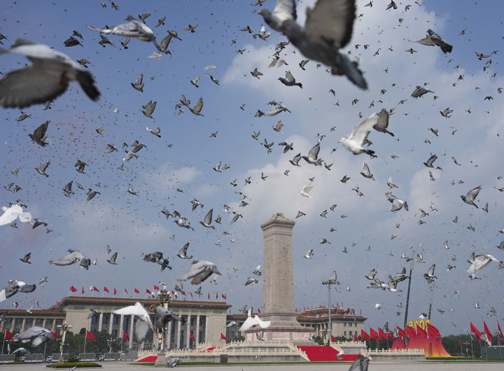 2025年9月3日，纪念中国人民抗日战争暨世界反法西斯战争胜利80周年大会在北京隆重举行。这是纪念大会现场放飞鸽子。新华社记者 牟宇 摄