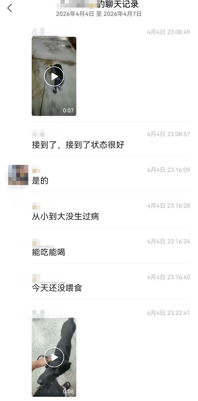 △赵磊一开始会主动告知领养犬只的情况。