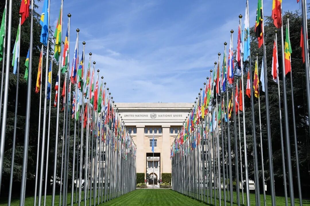 图为在瑞士日内瓦拍摄的万国宫，新华社记者 连漪 摄