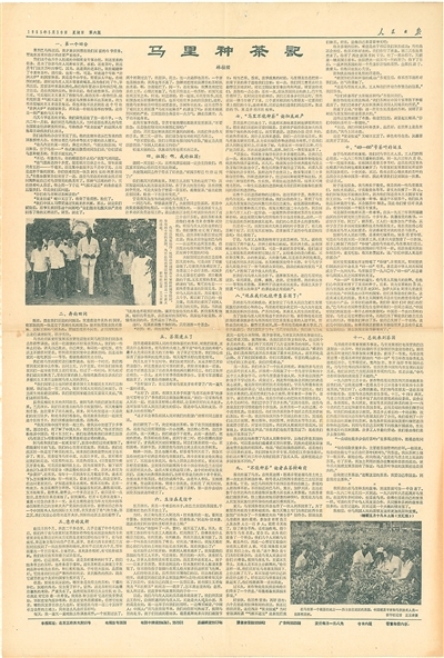 卡尔收藏的1965年5月30日《人民日报》第6版刊载的《马里种茶记》。