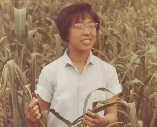 服务江青的最后一任护士回忆：1976年江青被抓时我在场， 她很镇定