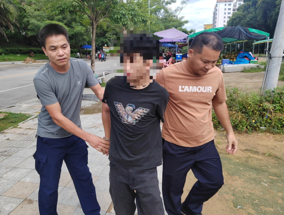 抓捕及投所 (2).jpg
