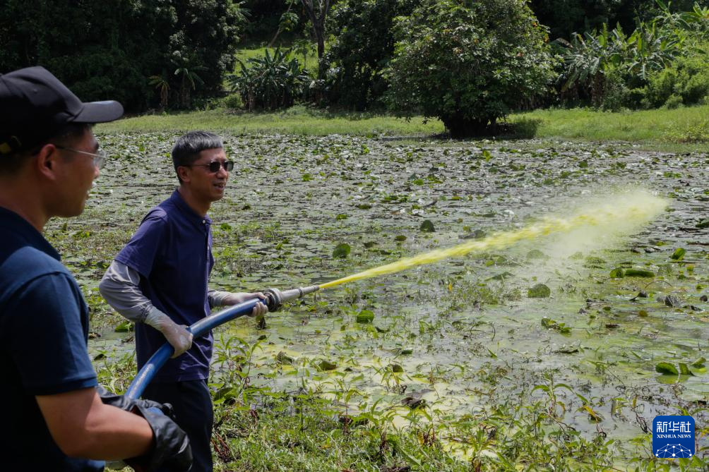1月1日,在坦桑尼亚桑给巴尔的奔巴岛,中国援助坦桑尼亚“桑给巴尔血吸虫病防治技术项目”专家组在当地水塘开展灭螺作业。新华社发(赫尔曼·埃马纽埃尔摄)